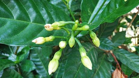 《丧尸比萨》登陆Steam 丧尸末日世界惊险配送