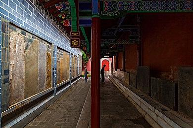 《传说之下》作者Toby Fox正在为《宝可梦 朱＆紫》创作音乐